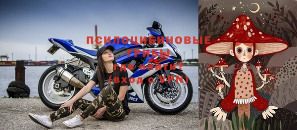 PSILOCYBIN Лиски