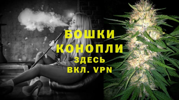 PSILOCYBIN Лиски