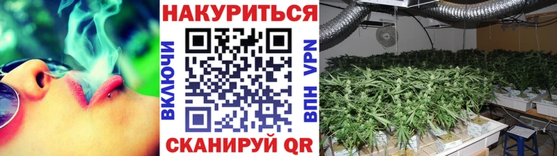 Бошки Шишки VHQ кракен ТОР Сураж